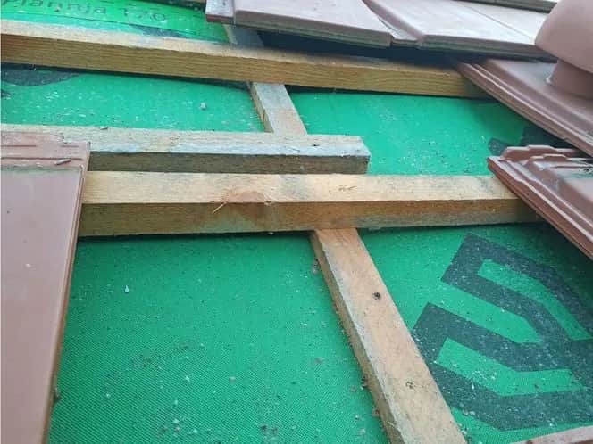 Jakie gwoździe do kontrłat wybrać, aby uniknąć problemów z montażem?